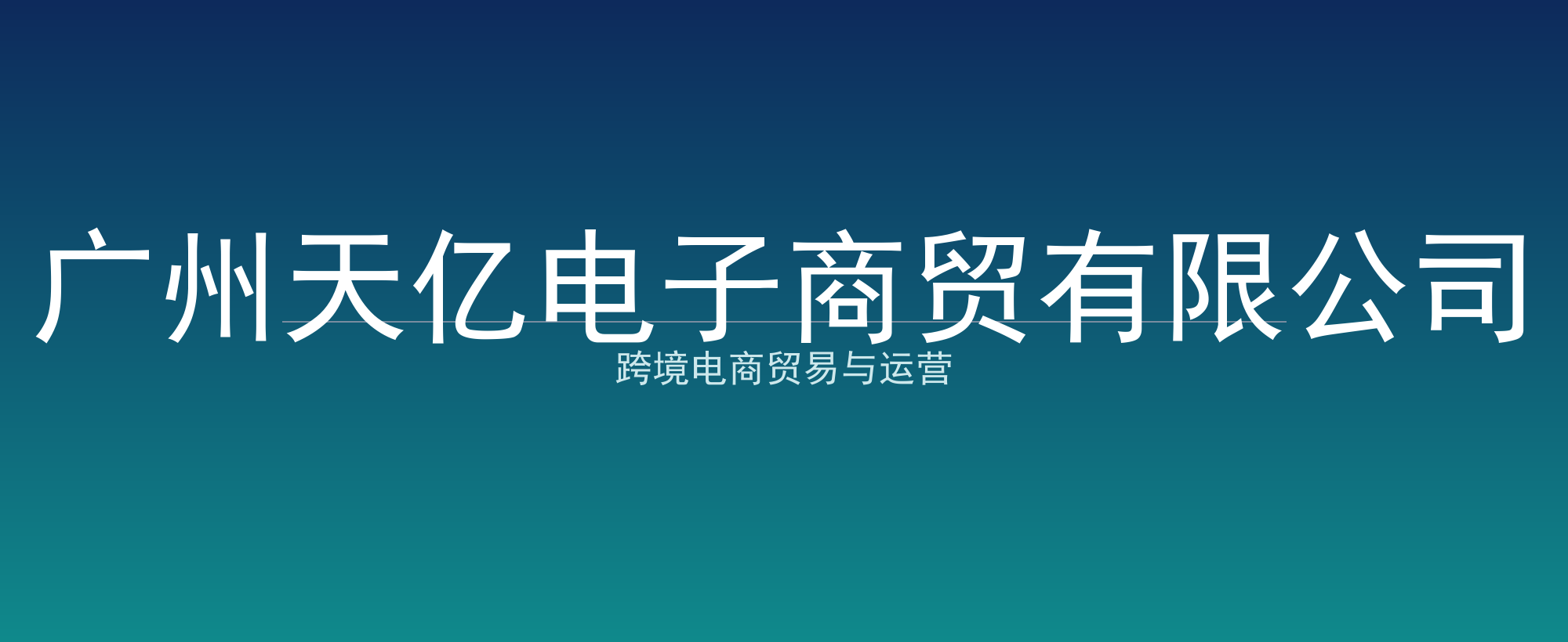 广州天亿电子商贸有限公司